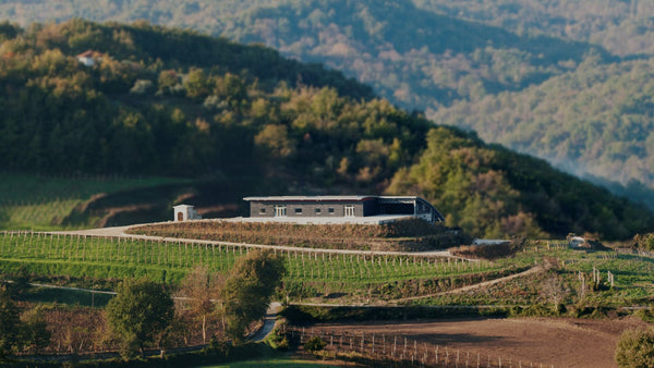 🍇 Vinho preferido do Império Romano.