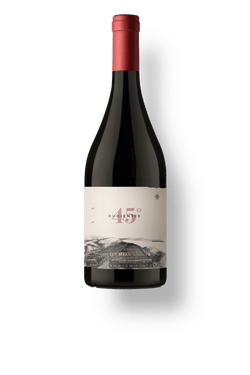 Otronia 45 Rugientes Pinot Noir