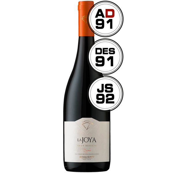 Bisquertt La Joya Gran Reserva Syrah 2020