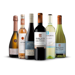 Kit WSET N1 Online - The Wine School