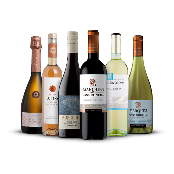 Kit WSET N1 Online - The Wine School