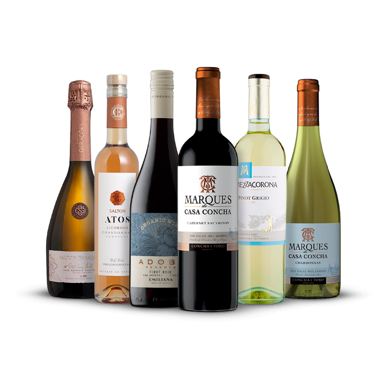 Kit WSET N1 Online - The Wine School