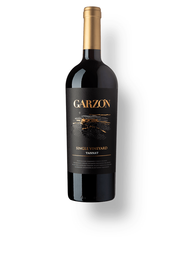 Garzón Single Vineyard Tannat 2022