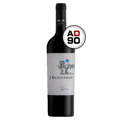 J. Bouchon Reserva Merlot 2022