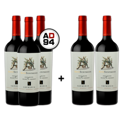 AntiSynthesis Field Blend of Malbec & Cabernet Sauvignon 2022 - Promoção de Aniversário - Leve 5 Pague 3